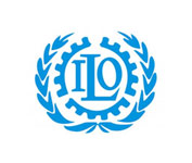  International Labour Organisation (ILO) 