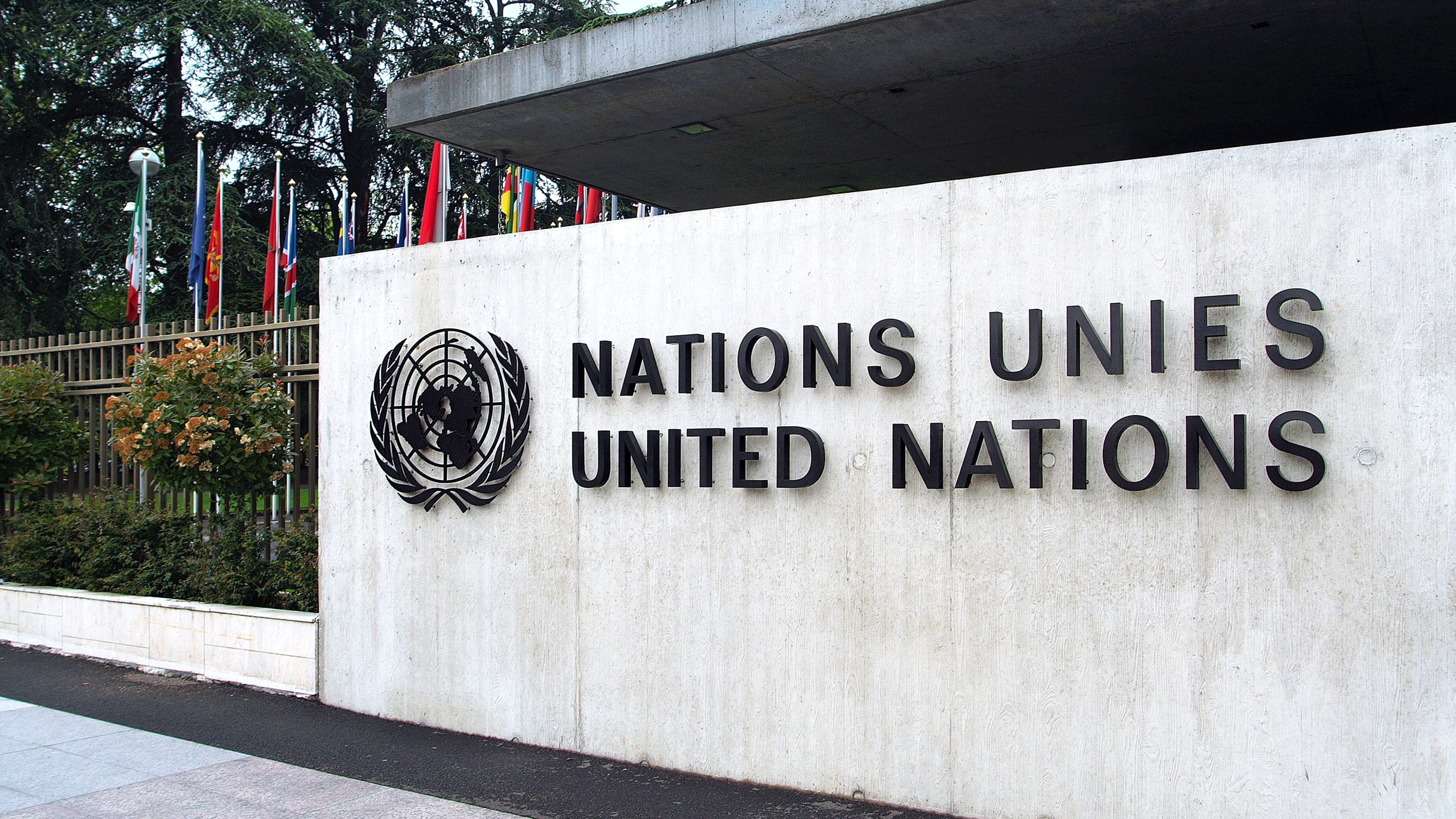ONU Tourisme et le système des Nations Unies 